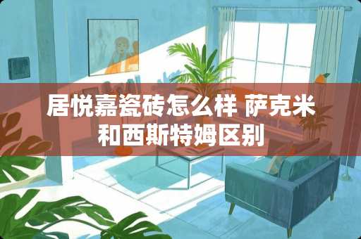 居悦嘉瓷砖怎么样 萨克米和西斯特姆区别