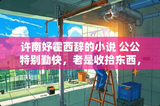 许南妤霍西辞的小说 公公特别勤快，老是收拾东西，甚至我的卧室他也要收拾，怎么办