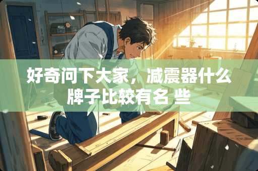 好奇问下大家，减震器什么牌子比较有名 些