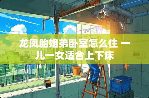 龙凤胎姐弟卧室怎么住 一儿一女适合上下床