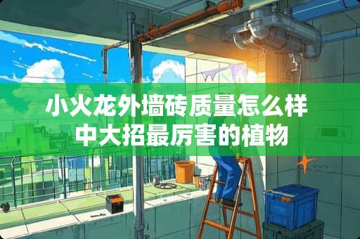 小火龙外墙砖质量怎么样 中大招最厉害的植物
