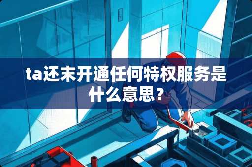 ta还末开通任何特权服务是什么意思？