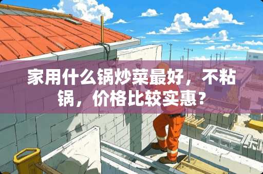 家用什么锅炒菜最好，不粘锅，价格比较实惠？