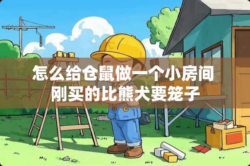 怎么给仓鼠做一个小房间 刚买的比熊犬要笼子