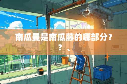 南瓜曼是南瓜藤的哪部分？？、