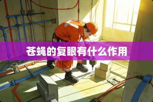 苍蝇的复眼有什么作用