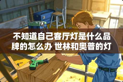 不知道自己客厅灯是什么品牌的怎么办 世林和奥普的灯哪个好