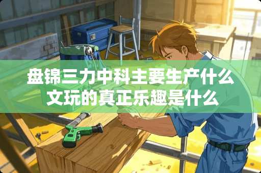 盘锦三力中科主要生产什么 文玩的真正乐趣是什么