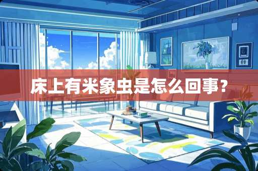 床上有米象虫是怎么回事？