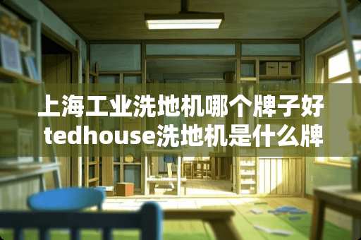 上海工业洗地机哪个牌子好 tedhouse洗地机是什么牌子