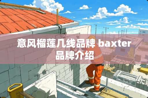 意风榴莲几线品牌 baxter品牌介绍