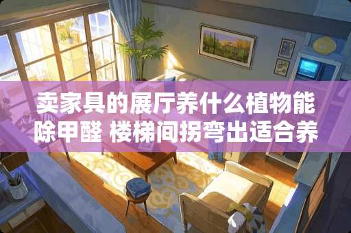 卖家具的展厅养什么植物能除甲醛 楼梯间拐弯出适合养什么植物