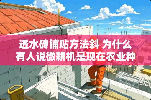 透水砖铺贴方法斜 为什么有人说微耕机是现在农业种植退化成本高的始作俑者