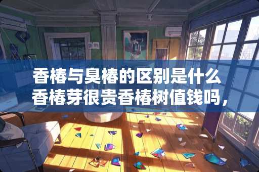 香椿与臭椿的区别是什么 香椿芽很贵香椿树值钱吗，我家有好几颗大树