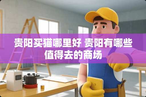 贵阳买猫哪里好 贵阳有哪些值得去的商场