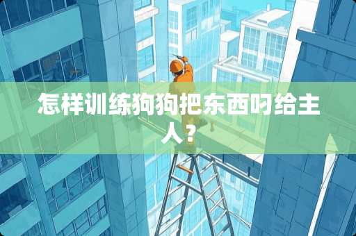 怎样训练狗狗把东西叼给主人？