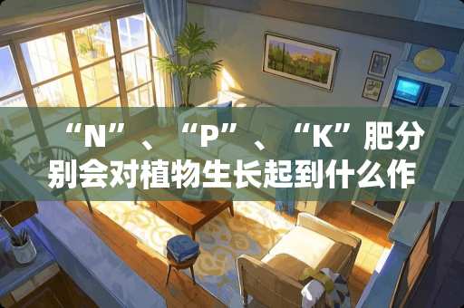 “N”、“P”、“K”肥分别会对植物生长起到什么作用？