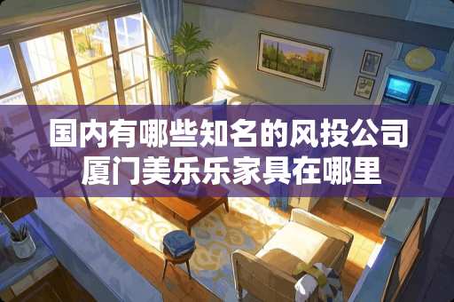 国内有哪些知名的风投公司 厦门美乐乐家具在哪里