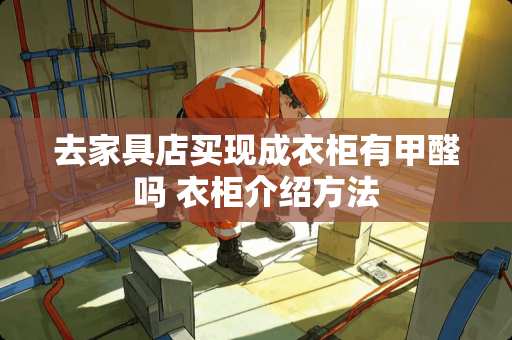 去家具店买现成衣柜有甲醛吗 衣柜介绍方法