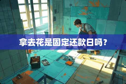 拿去花是固定还款日吗？