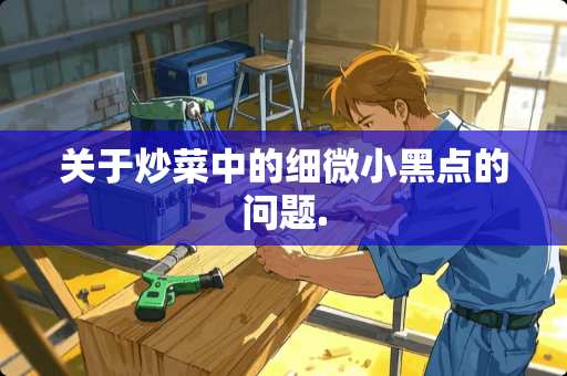 关于炒菜中的细微小黑点的问题.