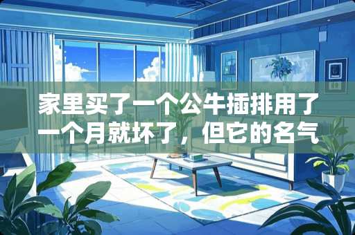 家里买了一个公牛插排用了一个月就坏了，但它的名气很大，实在搞不懂？