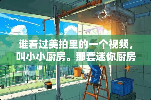 谁看过美拍里的一个视频，叫小小厨房。那套迷你厨房用具哪里有卖。