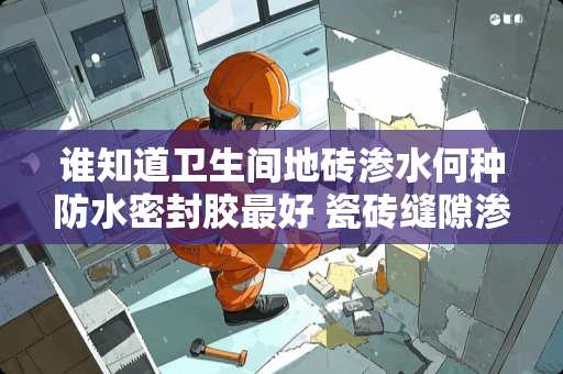 谁知道卫生间地砖渗水何种防水密封胶最好 瓷砖缝隙渗水用什么方法解决