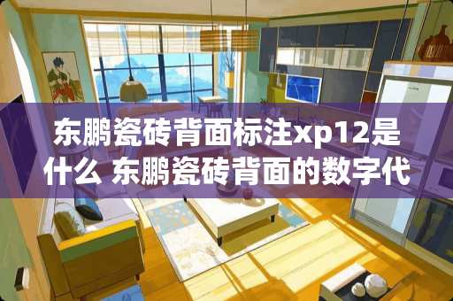 东鹏瓷砖背面标注xp12是什么 东鹏瓷砖背面的数字代表什么