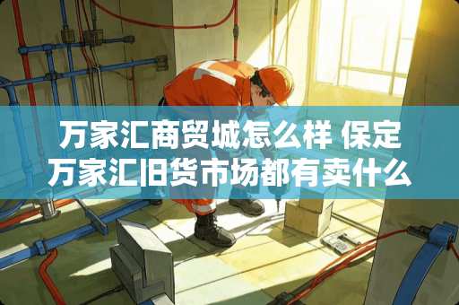 万家汇商贸城怎么样 保定万家汇旧货市场都有卖什么的