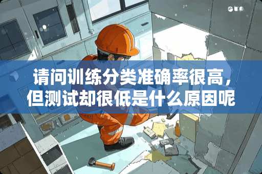 请问训练分类准确率很高，但测试却很低是什么原因呢？