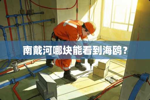 南戴河哪块能看到海鸥？