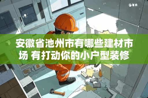 安徽省池州市有哪些建材市场 有打动你的小户型装修案例吗