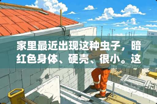 家里最近出现这种虫子，暗红色身体、硬壳、很小。这是什么虫子，要怎么消灭？