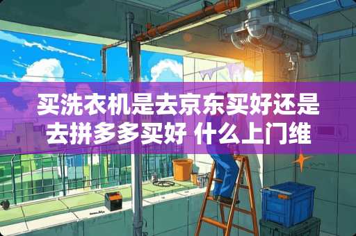买洗衣机是去京东买好还是去拼多多买好 什么上门维修家电的APP可靠，求推荐