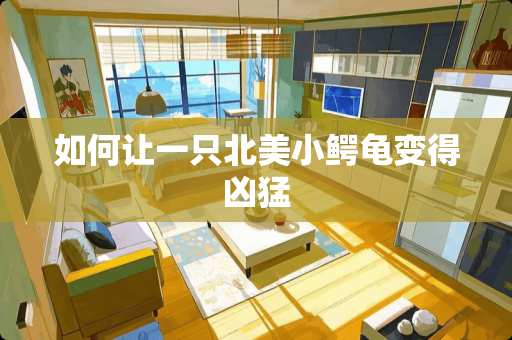 如何让一只北美小鳄龟变得凶猛