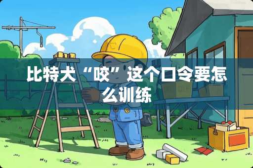 比特犬“咬”这个口令要怎么训练