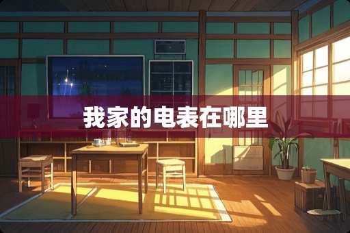 我家的电表在哪里
