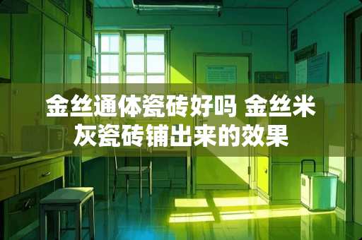 金丝通体瓷砖好吗 金丝米灰瓷砖铺出来的效果