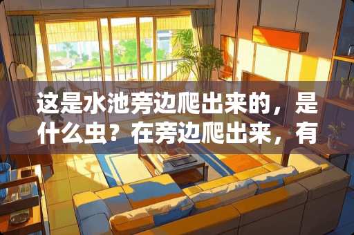 这是水池旁边爬出来的，是什么虫？在旁边爬出来，有毒吗？