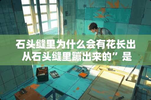 石头缝里为什么会有花长出 从石头缝里蹦出来的”是什么意思