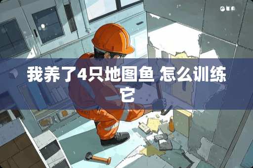 我养了4只地图鱼 怎么训练它