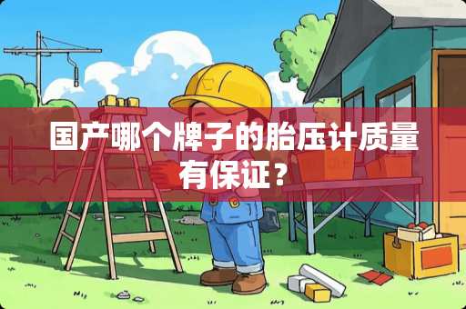 国产哪个牌子的胎压计质量有保证？