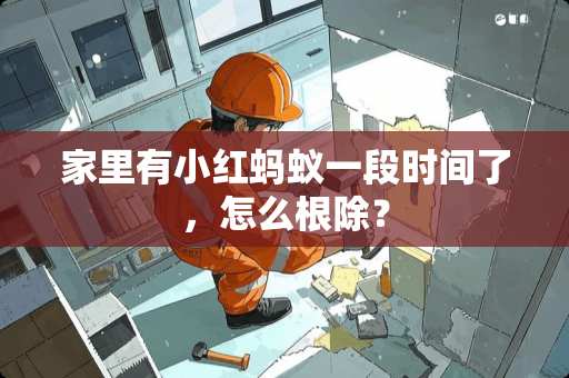 家里有小红蚂蚁一段时间了，怎么根除？