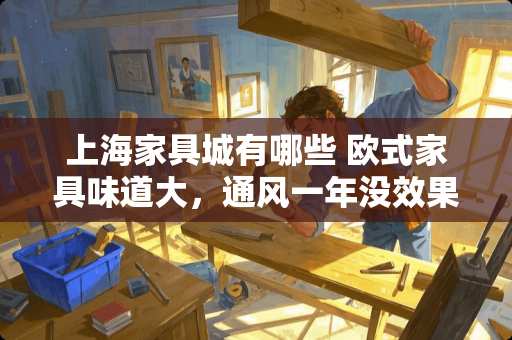 上海家具城有哪些 欧式家具味道大，通风一年没效果怎么办