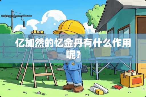 亿加然的忆金丹有什么作用呢？