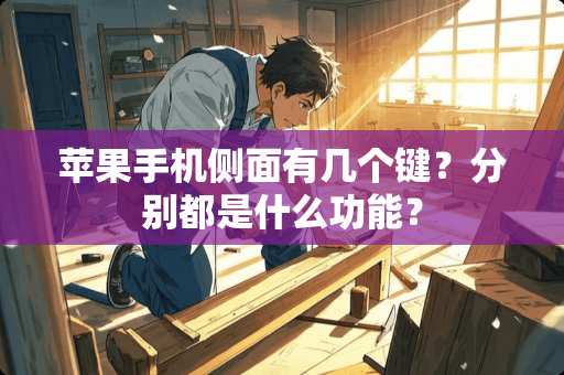 苹果手机侧面有几个键？分别都是什么功能？