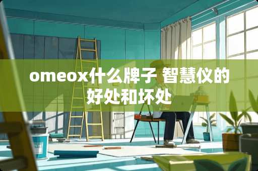 omeox什么牌子 智慧仪的好处和坏处