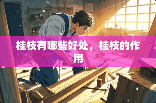桂枝有哪些好处，桂枝的作用