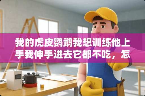 我的虎皮鹦鹉我想训练他上手我伸手进去它都不吃，怎么办？